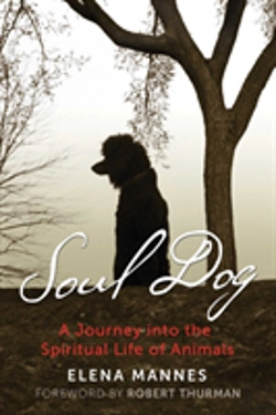 Bertrand.pt - Soul Dog