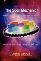 Soul Mechanic