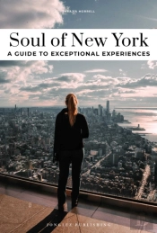 Soul Of New York Guide
