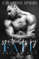 Soulmates By Fate Volume Two