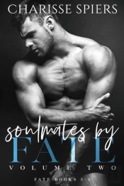 Soulmates By Fate Volume Two