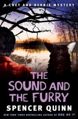 Bertrand.pt - Sound And The Furry
