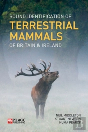 Sound Identification Of Terrestrial Mammals Of Britain & Ireland