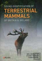 Sound Identification Of Terrestrial Mammals Of Britain & Ireland