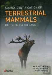 Sound Identification Of Terrestrial Mammals Of Britain & Ireland