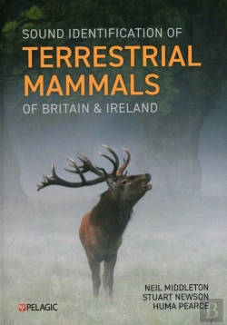 Bertrand.pt - Sound Identification Of Terrestrial Mammals Of Britain & Ireland