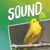 Sound