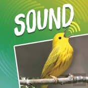 Sound