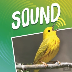 Bertrand.pt - Sound