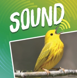 Bertrand.pt - Sound