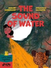 Sound Of Water