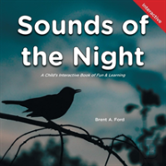 Sounds Of The Night