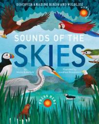 Sounds Of The Skies