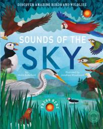 Sounds Of The Sky