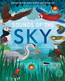 Bertrand.pt - Sounds Of The Sky