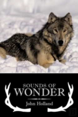 Bertrand.pt - Sounds Of Wonder