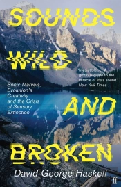 Sounds Wild And Broken