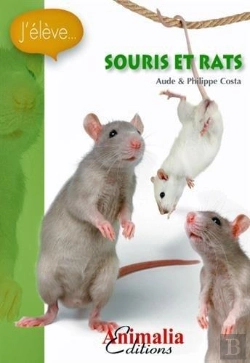 Bertrand.pt - Souris Et Rats