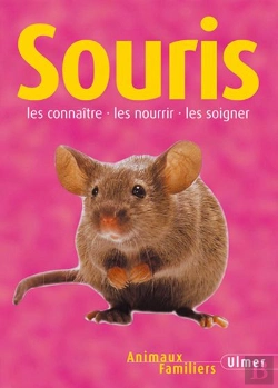 Bertrand.pt - Souris