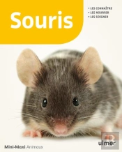 Souris ; Les Connaître, Les Nourrir, Les Soigner