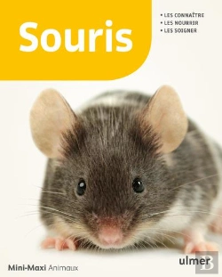 Bertrand.pt - Souris ; Les Connaître, Les Nourrir, Les Soigner
