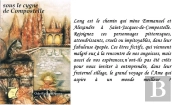 Sous Le Cygne De Compostelle