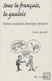 Sous Le Français, Le Gaulois ; Histoire, Vocabulaire, Étymologie, Toponymie