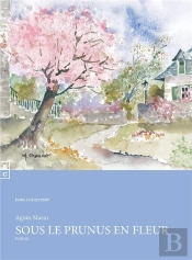 Sous Le Prunus En Fleur