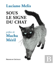 Sous Le Signe Du Chat