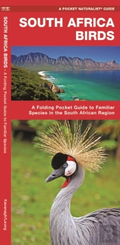 South Africa Birds
