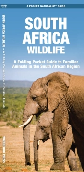 South Africa Wildlife
