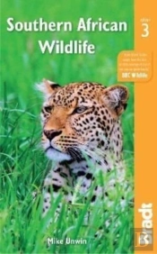 Southern African Wildlife