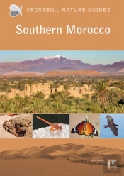 Southern Morocco