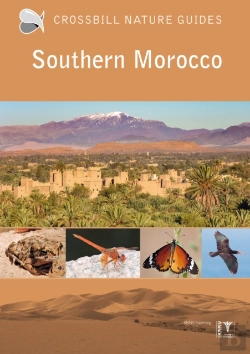 Bertrand.pt - Southern Morocco