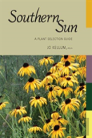 Southern Sun