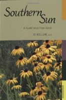 Southern Sun