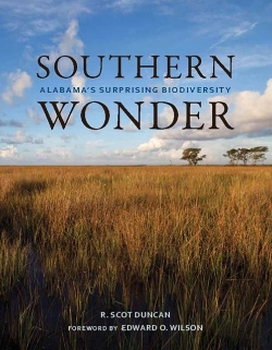 Bertrand.pt - Southern Wonder
