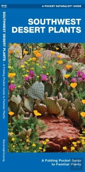 Southwestern Desert Plants