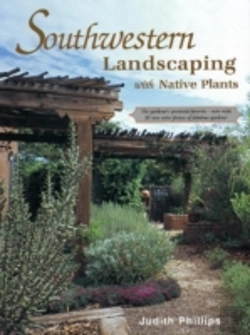 Bertrand.pt - Southwestern Landscaping With Native Plants