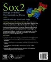 Sox2
