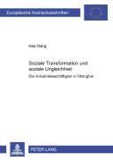 Soziale Transformation Und Soziale Ungleichheit