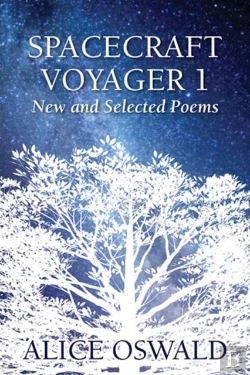 Bertrand.pt - Spacecraftt Voyager 1