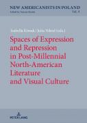 Spaces Of Expression And Repression In Post-Millennial North-American Literature And Visual Culture