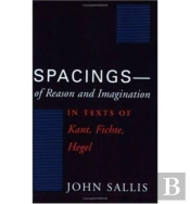 Spacings--Of Reason And Imagination