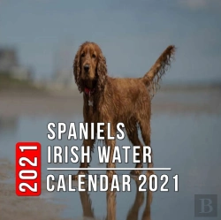 Bertrand.pt - Spaniels Irish Water Calendar 2021