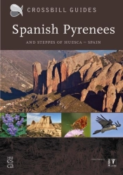 Spanish Pyrenees
