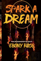 Spark A Dream