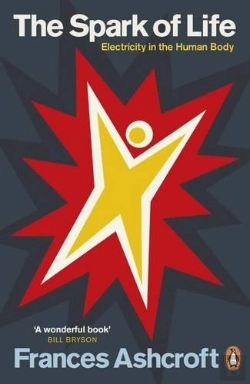 Bertrand.pt - Spark Of Life, The