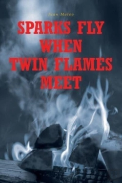 Bertrand.pt - Sparks Fly When Twin Flames Meet