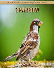 Sparrow